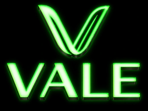 Vale Healthy Kitchen